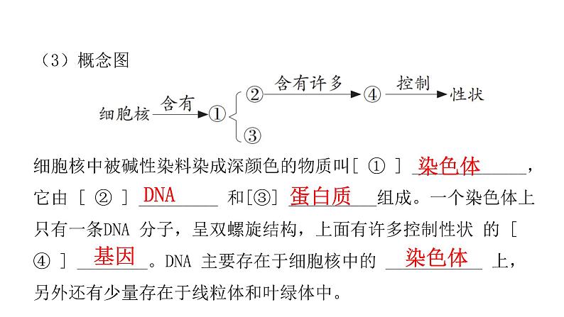 中考生物复习第七单元生物圈中生命的延续和发展第二章生物的遗传与变异课件第6页