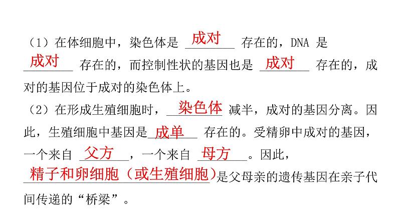 中考生物复习第七单元生物圈中生命的延续和发展第二章生物的遗传与变异课件第8页