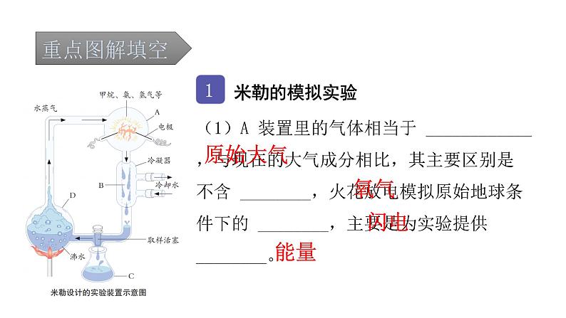 中考生物复习第七单元生物圈中生命的延续和发展第三章生命起源和生物进化课件第2页