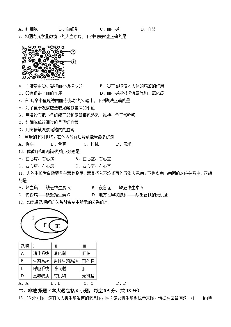 辽宁省鞍山市立山区2022-2023学年七年级下学期期中生物试题第2页