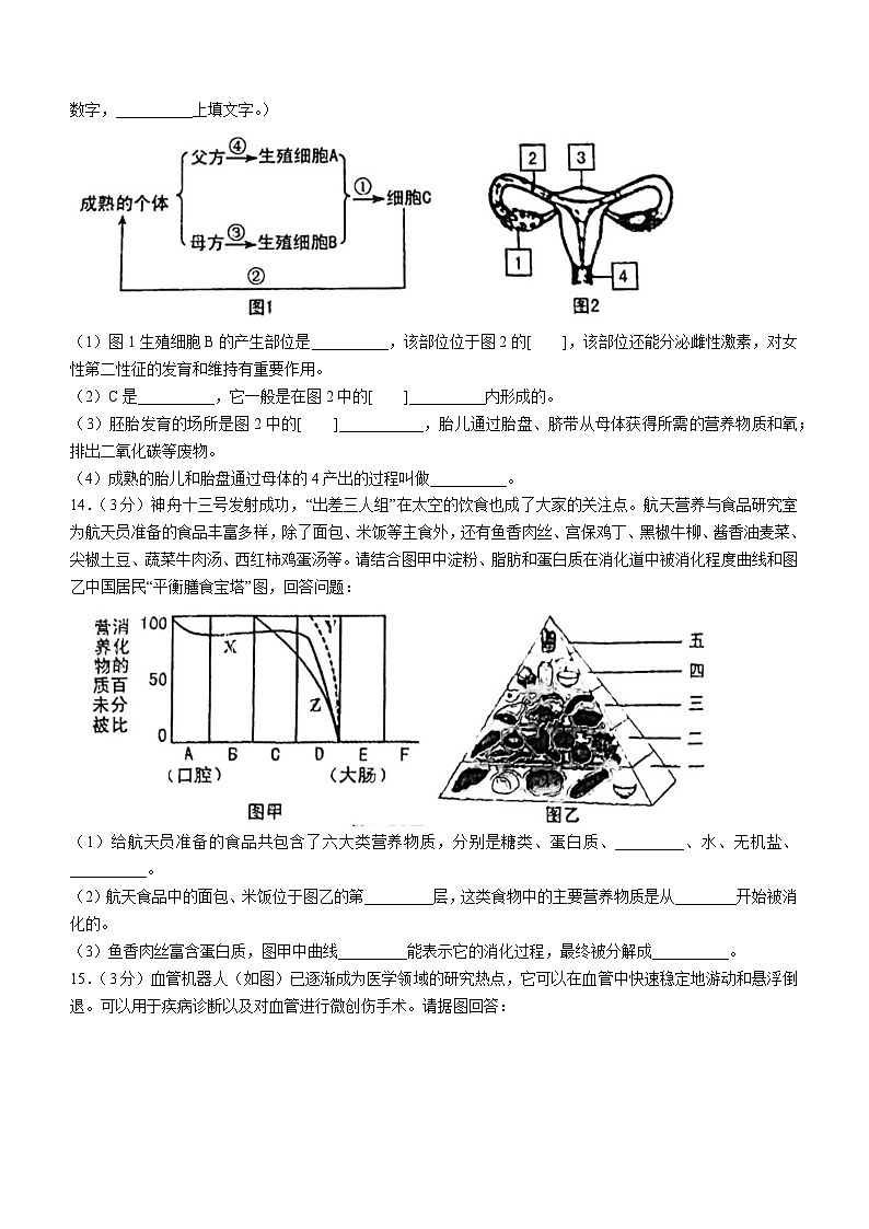 辽宁省鞍山市立山区2022-2023学年七年级下学期期中生物试题第3页