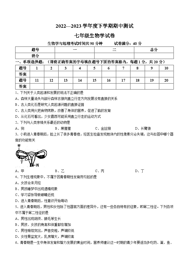 辽宁省丹东市凤城市2022-2023学年七年级下学期期中生物试题第1页