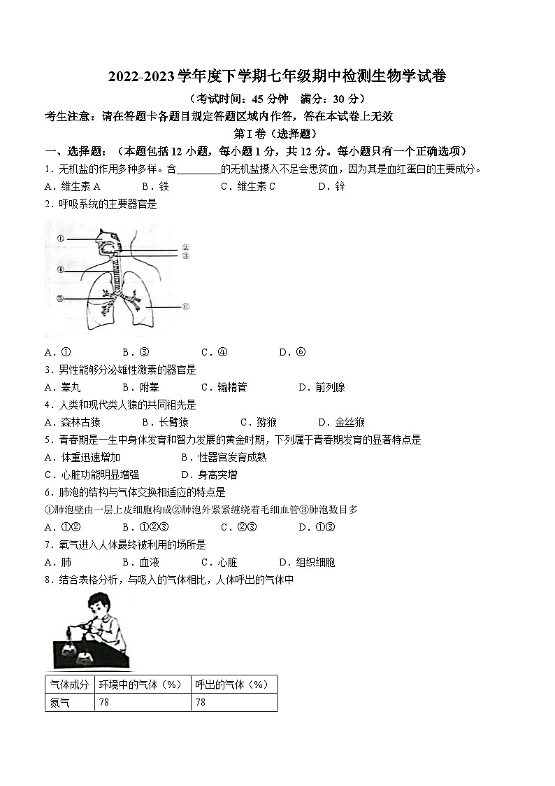 辽宁省葫芦岛市建昌县2022-2023学年七年级下学期期中生物试题01