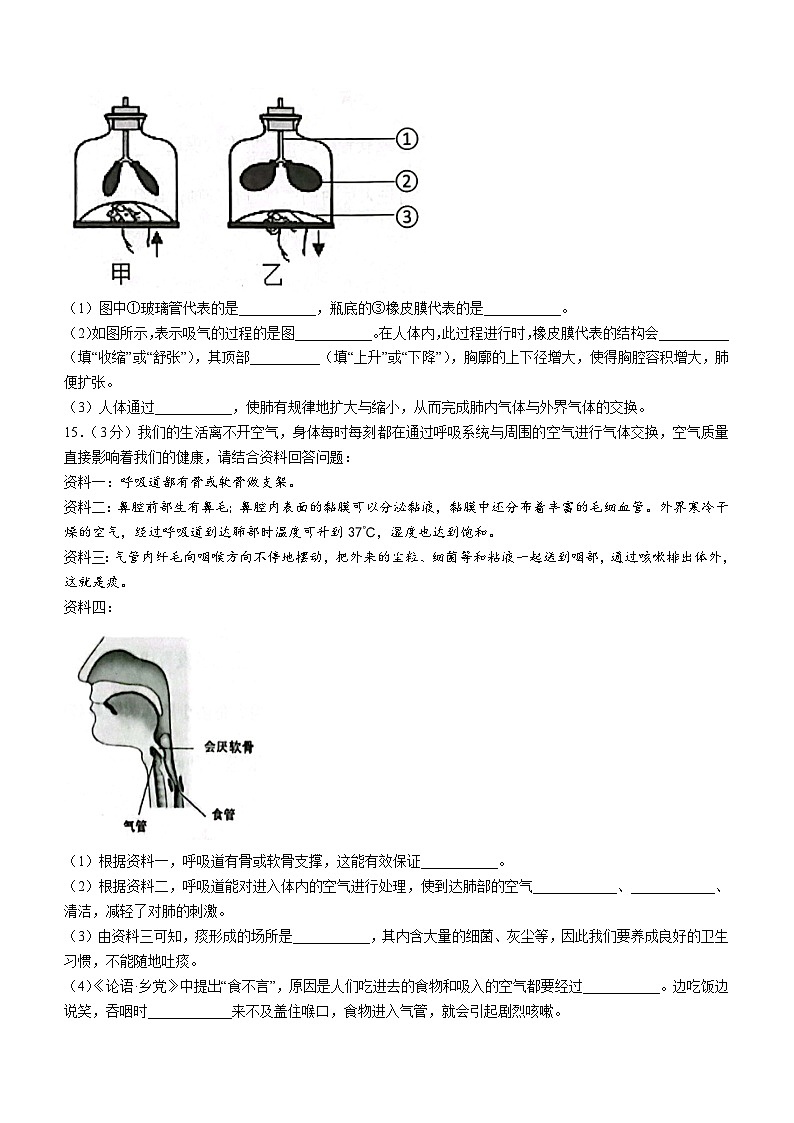 辽宁省葫芦岛市建昌县2022-2023学年七年级下学期期中生物试题03