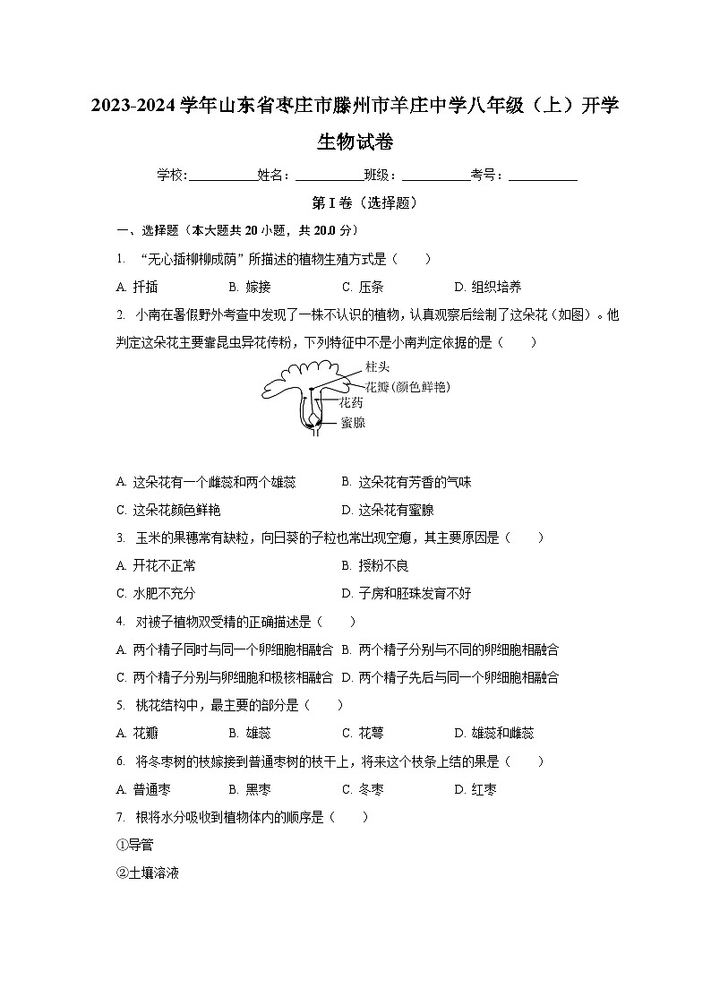 山东省枣庄市滕州市羊庄中学2023-2024学年八年级上学期开学生物试卷第1页