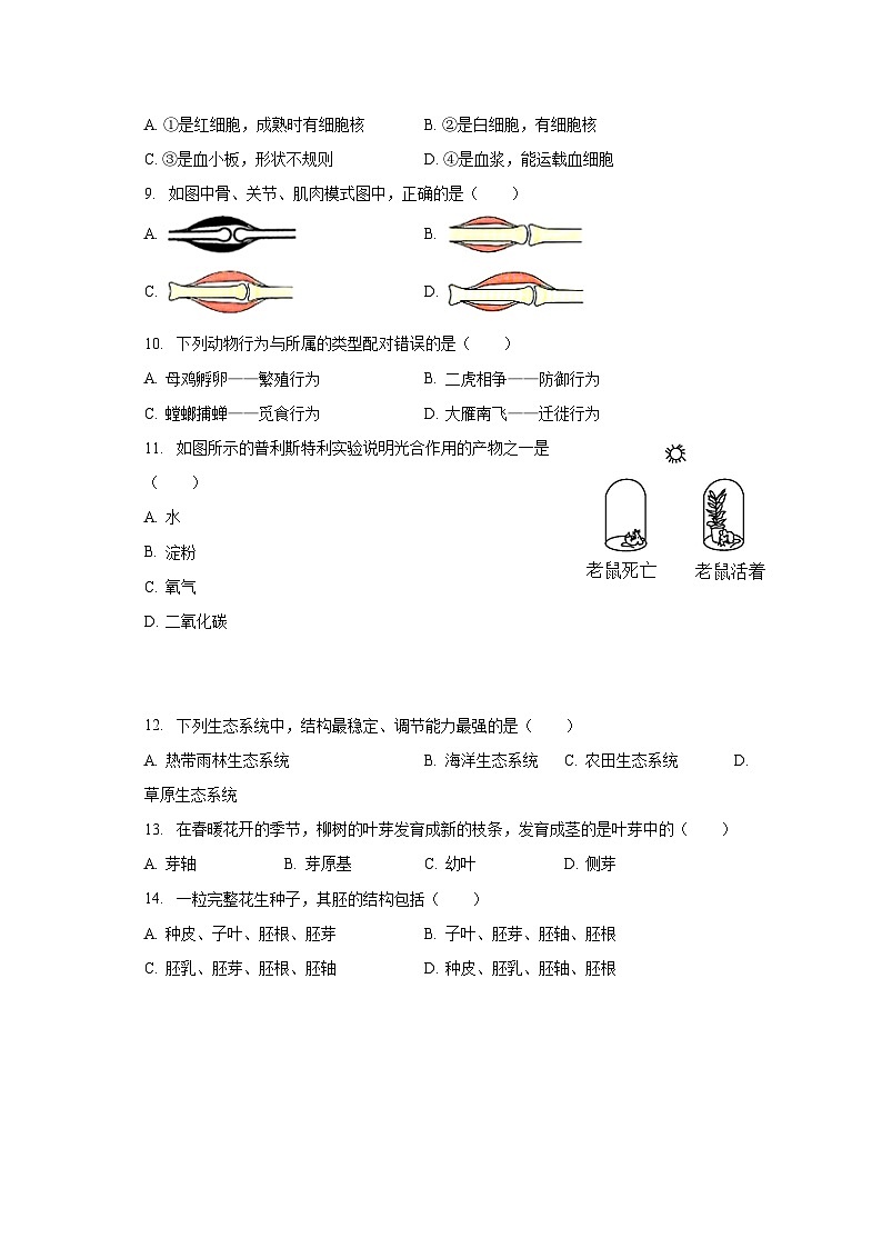 2022-2023学年宁夏银川十五中八年级（下）开学生物试卷（含解析）第2页
