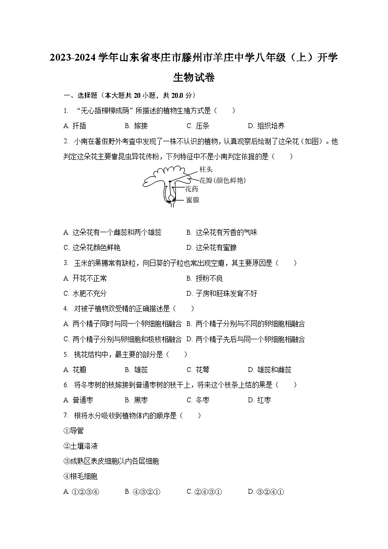 2023-2024学年山东省枣庄市滕州市羊庄中学八年级（上）开学生物试卷（含解析）01
