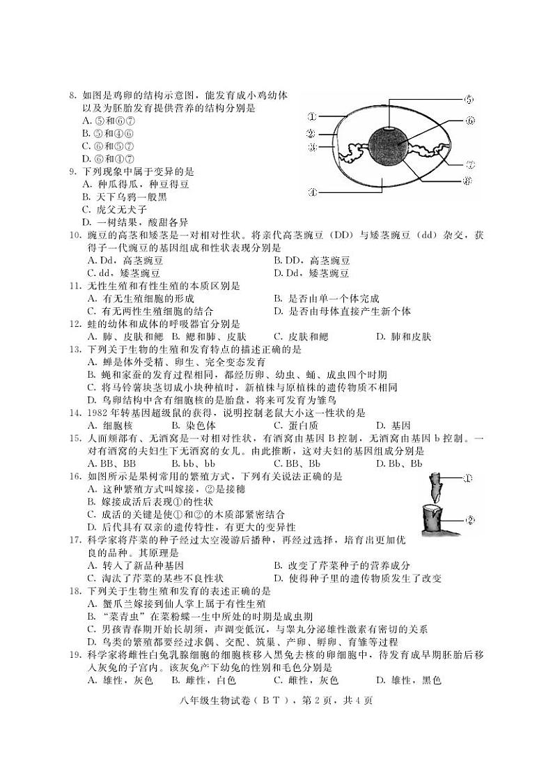 河北省沧州市泊头市2022-2023学年八年级下学期期中考试生物试题02