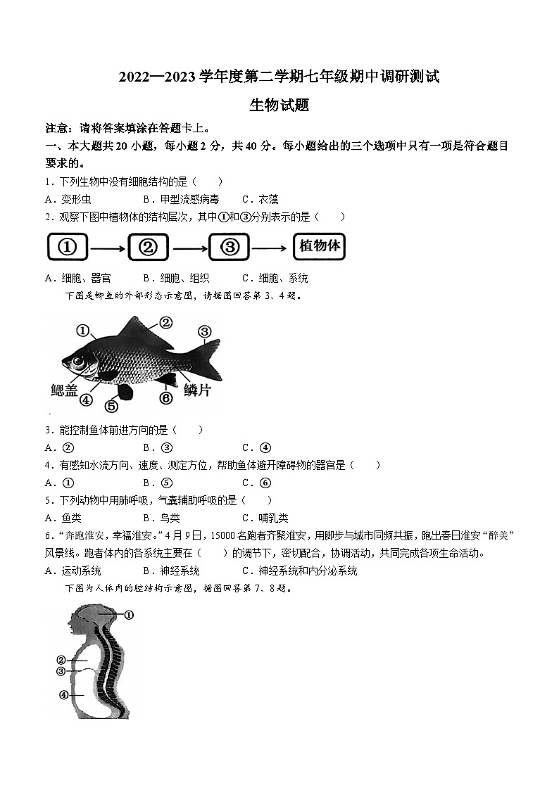 江苏省淮安市淮阴区2022-2023学年七年级下学期期中生物试题(无答案)第1页