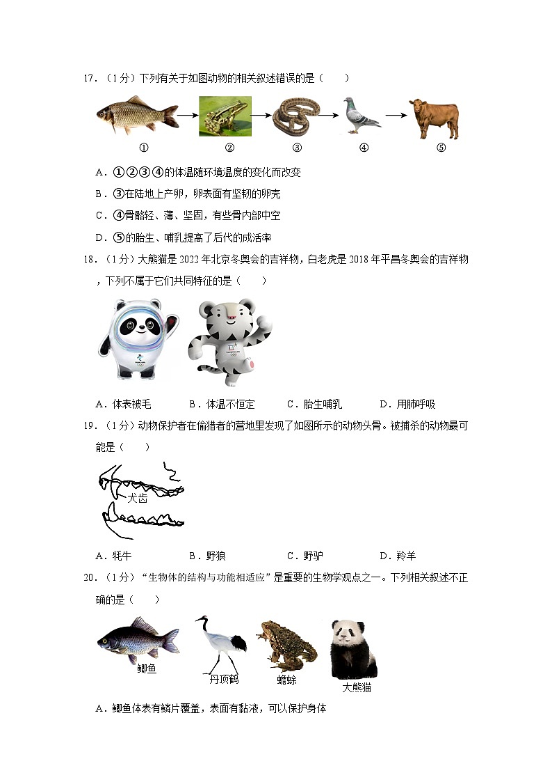 广东省深圳市翠园教育集团2022-2023学年八年级上学期期中生物试卷第3页
