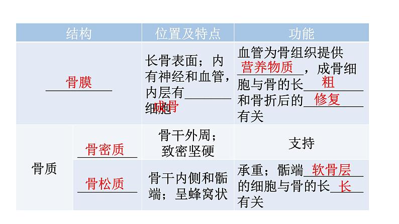 北师大版八年级生物上册第5单元第15章第2节动物运动的形成第1课时骨、关节教学课件第7页