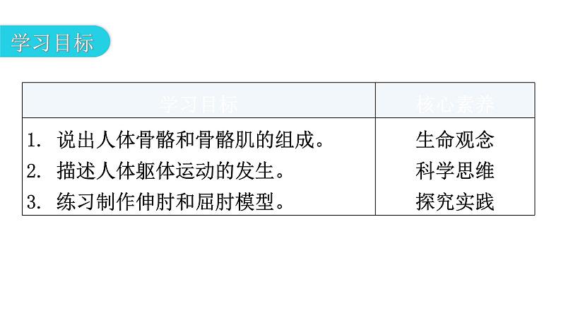 北师大版八年级生物上册第5单元第15章第2节动物运动的形成第2课时骨骼、骨骼肌、躯体运动的形成教学课件03