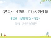 北师大版八年级生物上册第5单元第16章第3节动物行为的研究教学课件