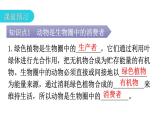 北师大版八年级生物上册第5单元第17章第1节动物在生物圈中的作用教学课件