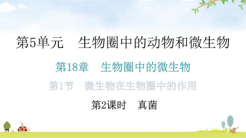 北师大版八年级生物上册第5单元第18章第1节微生物在生物圈中的作用第2课时真菌教学课件01