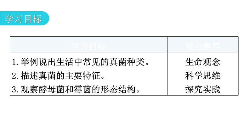 北师大版八年级生物上册第5单元第18章第1节微生物在生物圈中的作用第2课时真菌教学课件03