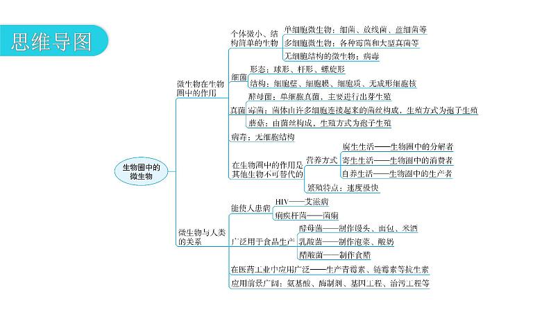 北师大版八年级生物上册第5单元第18章章末总结课件第3页