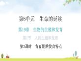 北师大版八年级生物上册第6单元第19章第1节人的生殖和发育第2课时青春期的发育特点教学课件