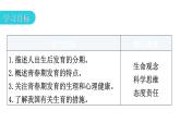 北师大版八年级生物上册第6单元第19章第1节人的生殖和发育第2课时青春期的发育特点教学课件
