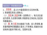 北师大版八年级生物上册第6单元第19章第1节人的生殖和发育第2课时青春期的发育特点教学课件