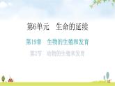 北师大版八年级生物上册第6单元第19章第2节动物的生殖和发育教学课件