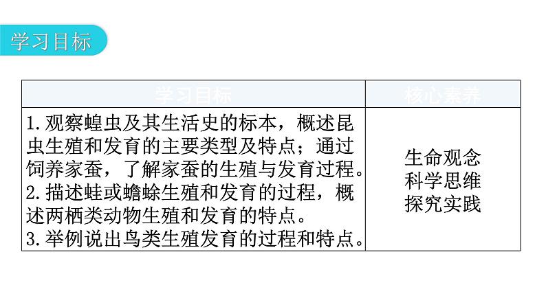 北师大版八年级生物上册第6单元第19章第2节动物的生殖和发育教学课件03