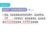 北师大版八年级生物上册第6单元第19章第2节动物的生殖和发育教学课件