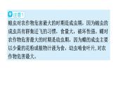 北师大版八年级生物上册第6单元第19章第2节动物的生殖和发育教学课件
