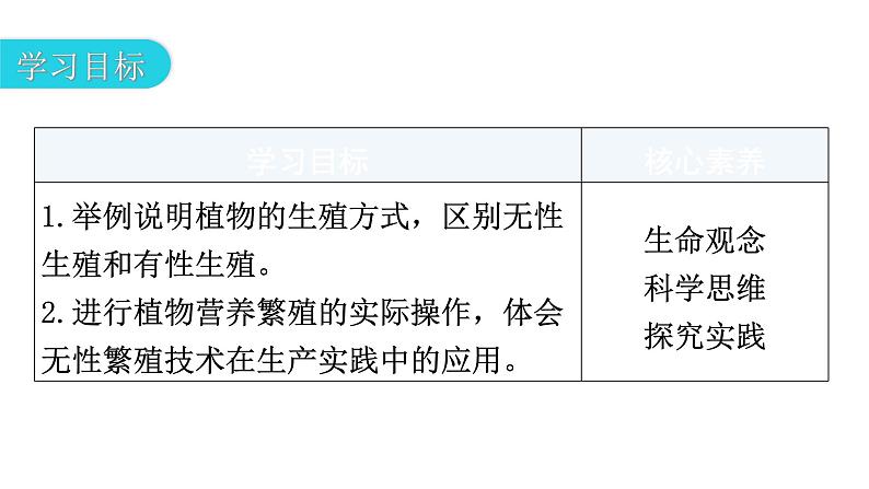 北师大版八年级生物上册第6单元第19章第3节植物的生殖方式教学课件03