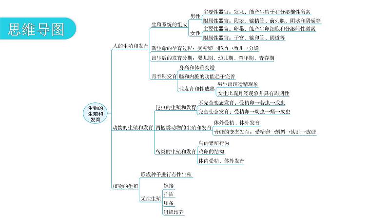 北师大版八年级生物上册第6单元第19章章末总结课件03