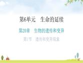 北师大版八年级生物上册第6单元第20章第1节遗传和变异现象教学课件