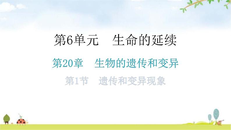 北师大版八年级生物上册第6单元第20章第1节遗传和变异现象教学课件第1页