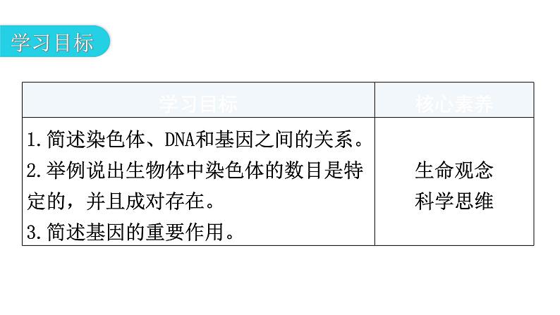 北师大版八年级生物上册第6单元第20章第2节性状遗传的物质基础教学课件第3页