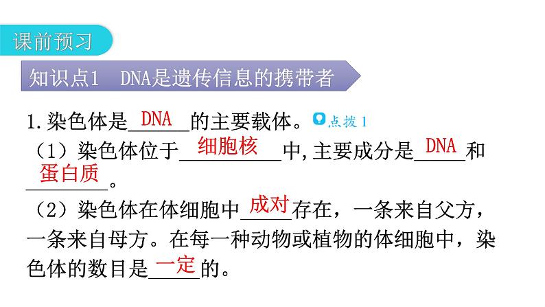 北师大版八年级生物上册第6单元第20章第2节性状遗传的物质基础教学课件第4页
