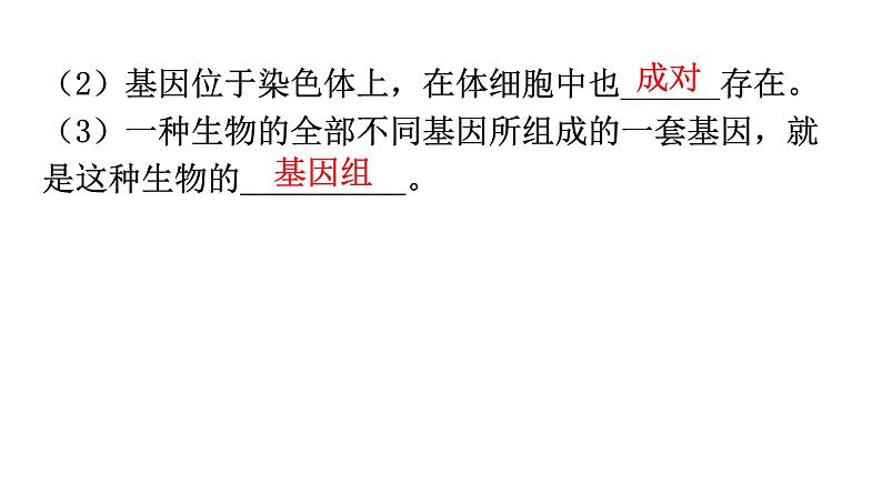 北师大版八年级生物上册第6单元第20章第2节性状遗传的物质基础教学课件第8页