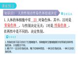 北师大版八年级生物上册第6单元第20章第4节性别和性别决定教学课件