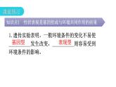 北师大版八年级生物上册第6单元第20章第5节遗传与环境教学课件