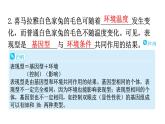 北师大版八年级生物上册第6单元第20章第5节遗传与环境教学课件