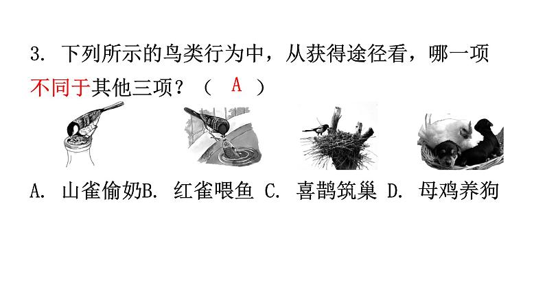 北师大版八年级生物上册第16章第1节先天性行为和后天学习行为分层作业课件04