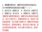 北师大版八年级生物上册第16章第2节动物行为的主要类型分层作业课件