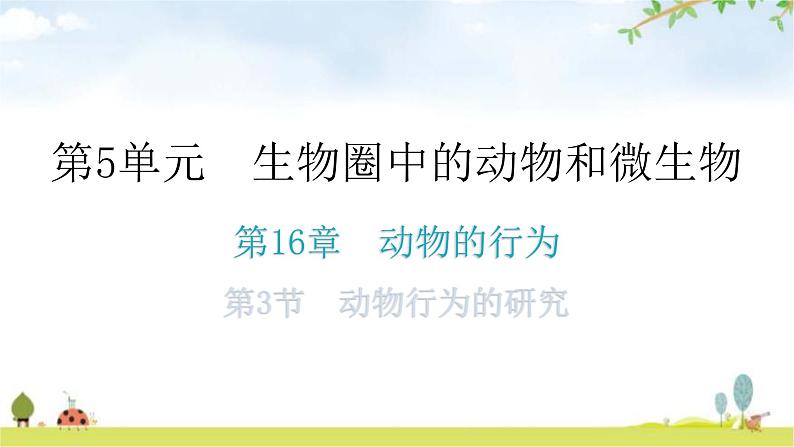 北师大版八年级生物上册第16章第3节动物行为的研究分层作业课件第1页