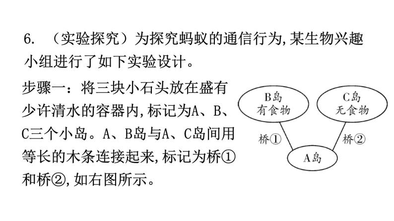 北师大版八年级生物上册第16章第3节动物行为的研究分层作业课件07