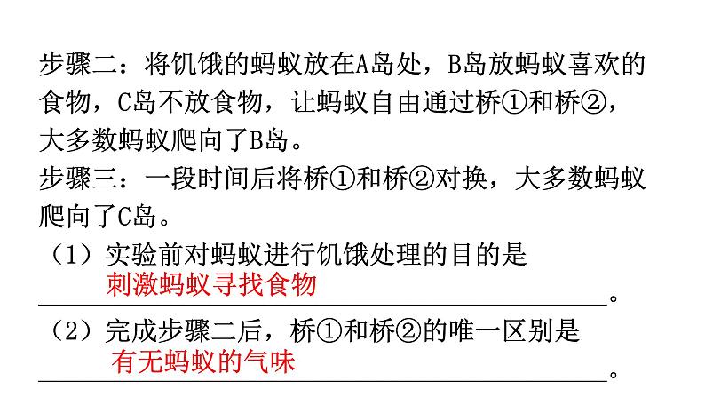 北师大版八年级生物上册第16章第3节动物行为的研究分层作业课件第8页