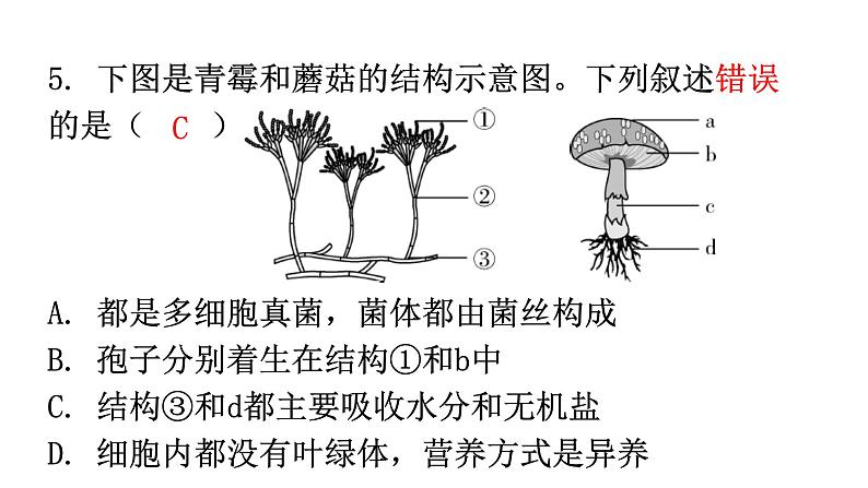 北师大版八年级生物上册第18章第1节微生物在生物圈中的作用第2课时分层作业课件第7页