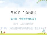 北师大版八年级生物上册第19章第1节人的生殖和发育第1课时分层作业课件