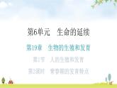 北师大版八年级生物上册第19章第1节人的生殖和发育第2课时分层作业课件