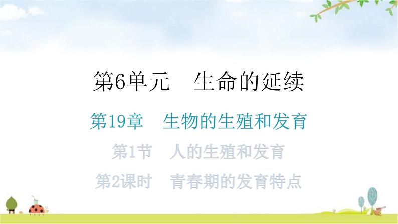 北师大版八年级生物上册第19章第1节人的生殖和发育第2课时分层作业课件01