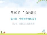 北师大版八年级生物上册第19章第2节动物的生殖和发育分层作业课件