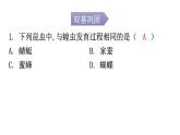 北师大版八年级生物上册第19章第2节动物的生殖和发育分层作业课件