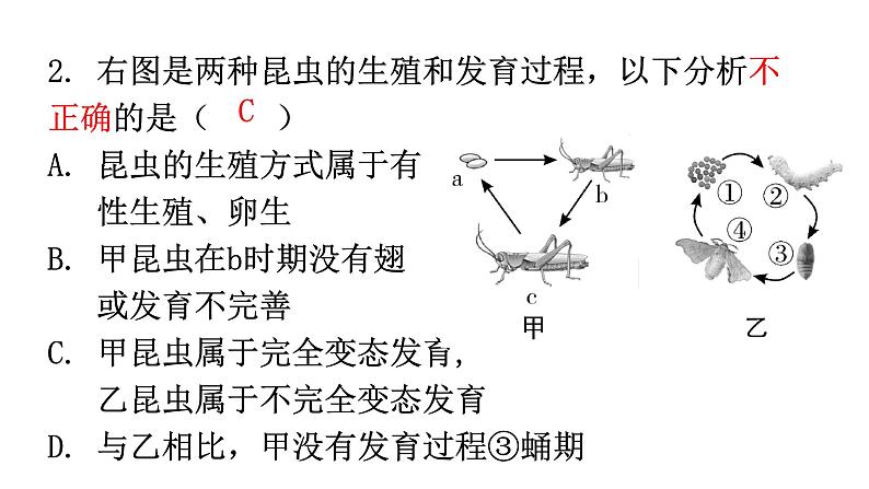 北师大版八年级生物上册第19章第2节动物的生殖和发育分层作业课件第3页